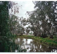 Henty Government Dam Nature Reserve - Accommodation in Brisbane