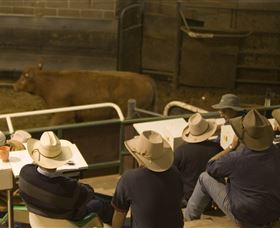 Livestock Marketing Centre - Accommodation in Brisbane 2