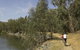 Wiradjuri Walking Track - thumb 0