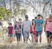 Winton Wetlands Reserve - Accommodation in Brisbane