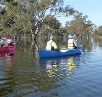 Doodle Cooma Swamp - Accommodation in Brisbane