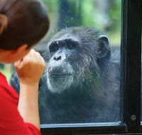 The Rockhampton Zoo - Accommodation in Brisbane