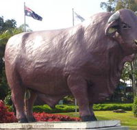 Rockhampton Bull Statues - Accommodation in Brisbane