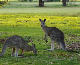 Benalla Golf Club - Accommodation in Brisbane 1