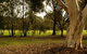 Benalla Golf Club - thumb 2