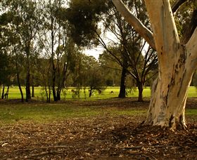 Benalla Golf Club - Accommodation in Brisbane 2