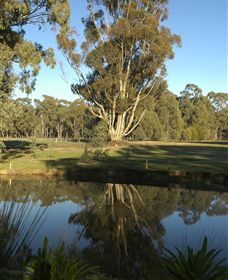 Benalla Golf Club - Accommodation in Brisbane 5