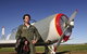 Warbird Aerial Adventures - thumb 1