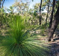 Brisbane Ranges National Park - Accommodation in Brisbane
