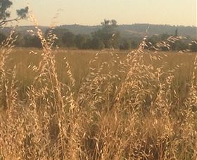 Springview Eco-Farm - Accommodation in Brisbane 3