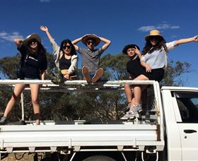 Springview Eco-Farm - Accommodation in Brisbane 1