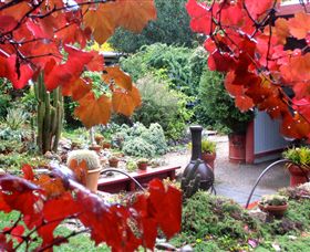 Out Of Town Nursery And Humming Garden - Accommodation in Brisbane 1