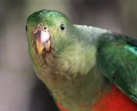 Out Of Town Nursery And Humming Garden - Accommodation in Brisbane 3