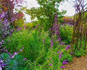 Out Of Town Nursery And Humming Garden - Accommodation in Brisbane 7