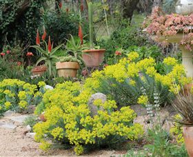 Out Of Town Nursery And Humming Garden - Accommodation in Brisbane 8