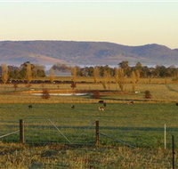 Holbrook Landcare Self-Drive Eco Tour - Accommodation in Brisbane