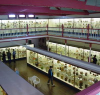 National Museum of Australian Pottery - Accommodation in Brisbane