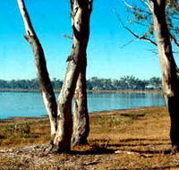 Lake Broadwater Conservation Park - Accommodation in Brisbane