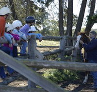 Harlow Park Horse Riding - Accommodation in Brisbane