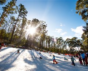 Corin Forest Mountain Resort - Accommodation in Brisbane 1