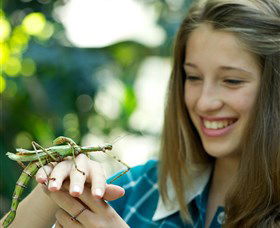 CSIRO Discovery Centre - Accommodation in Brisbane 0