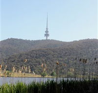 Black Mountain Peninsula - Accommodation in Brisbane