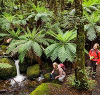 Baw Baw National Park - Accommodation in Brisbane