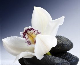 H2O Spa - Accommodation in Brisbane 1
