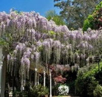 Nooroo Gardens - Accommodation in Brisbane