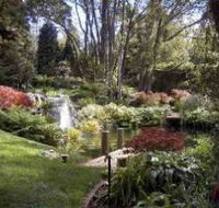 Windyridge Garden Mount Wilson - Accommodation in Brisbane