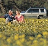Coalseam Conservation Park - Accommodation in Brisbane