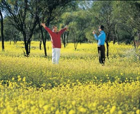 Coalseam Conservation Park - Accommodation in Brisbane 2
