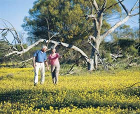 Coalseam Conservation Park - Accommodation in Brisbane 3