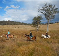 Chapman Valley Horse Riding - Accommodation in Brisbane
