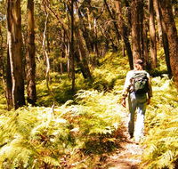 Federal Pass - Accommodation in Brisbane