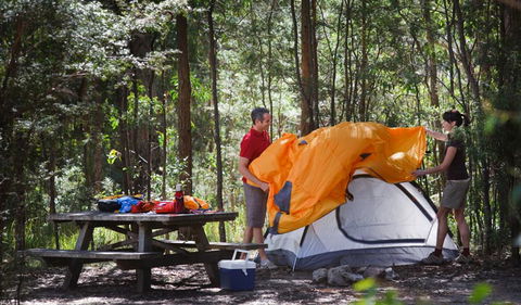 Bald Rock National Park - Accommodation in Brisbane 1