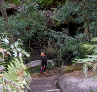 Leura Cascades Fern Bower - Accommodation in Brisbane