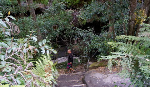 Leura Cascades Fern Bower - Accommodation in Brisbane 0