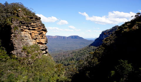 Leura Cascades Fern Bower - Accommodation in Brisbane 1