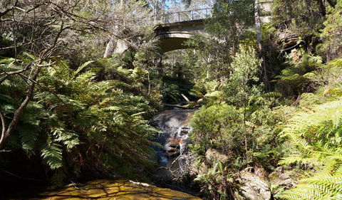 Leura Cascades Fern Bower - Accommodation in Brisbane 3