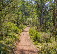 Mares Forest Creek walking track - Accommodation in Brisbane