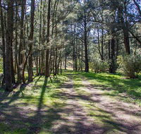 Wombeyan Waterfall walking track - Accommodation in Brisbane