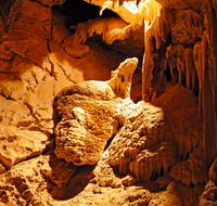 Fig Tree Cave - Accommodation in Brisbane