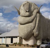 Big Merino - Accommodation in Brisbane