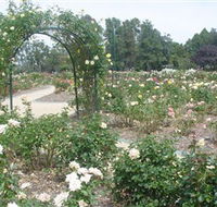 Victoria Park Rose Garden - Accommodation in Brisbane
