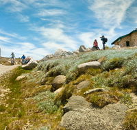 Mount Kosciuszko Summit walk - Accommodation in Brisbane