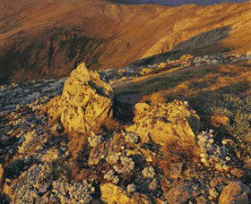 Kosciuszko National Park - Charlottes Pass To Snowy River - Accommodation in Brisbane 1