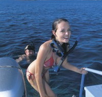 Seal Cove - Accommodation in Brisbane