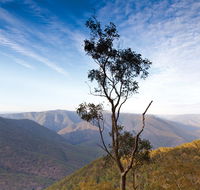 Salisbury Waters walking track - Accommodation in Brisbane