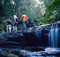 South Lawson Waterfall Circuit - Accommodation in Brisbane